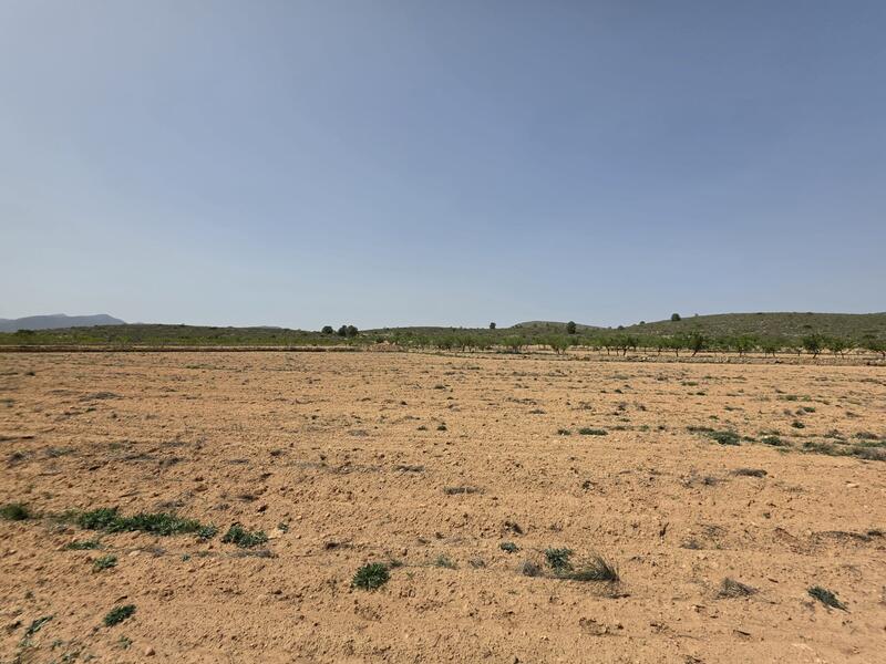 Country House for sale