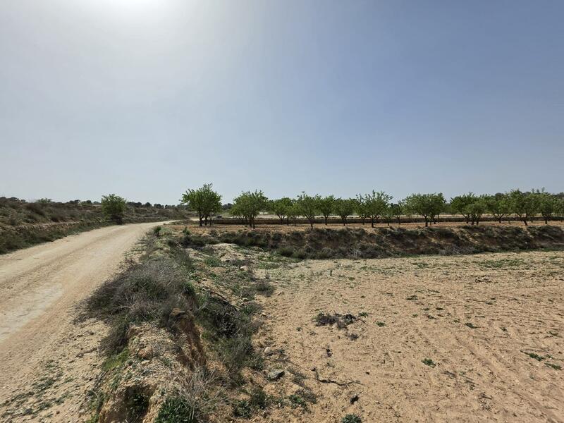 Country House for sale