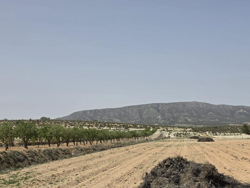 Country House for sale