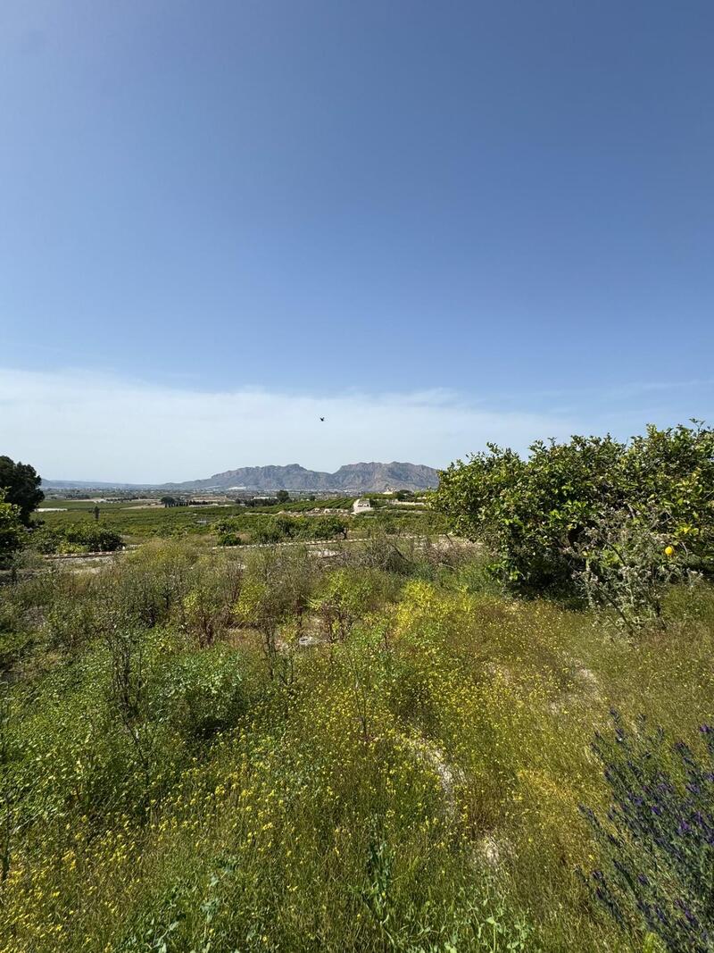 1 bedroom Country House for sale