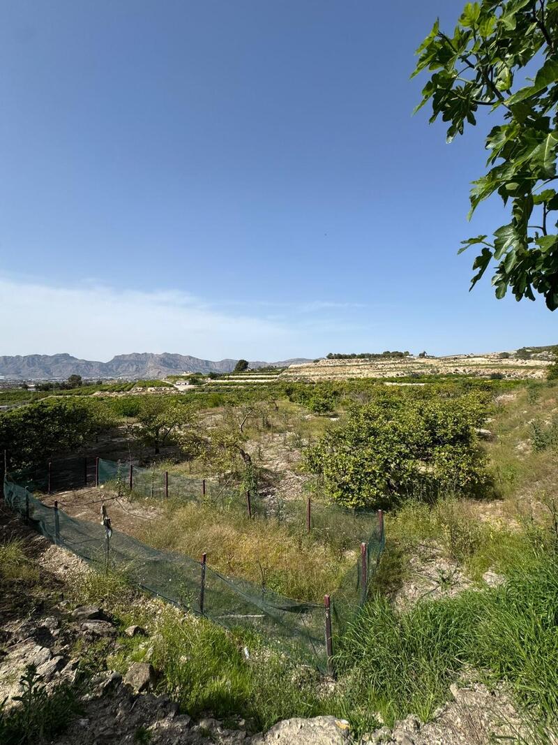 1 bedroom Country House for sale