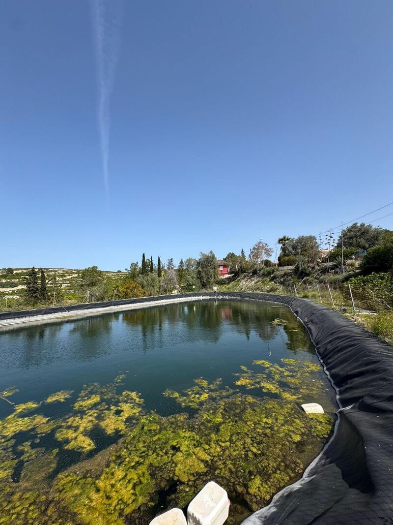 1 bedroom Country House for sale