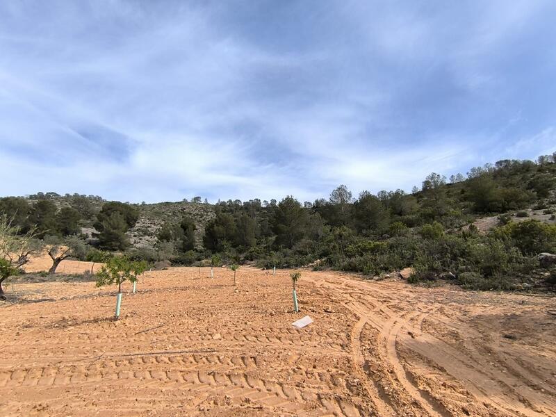 Casa de Campo en venta