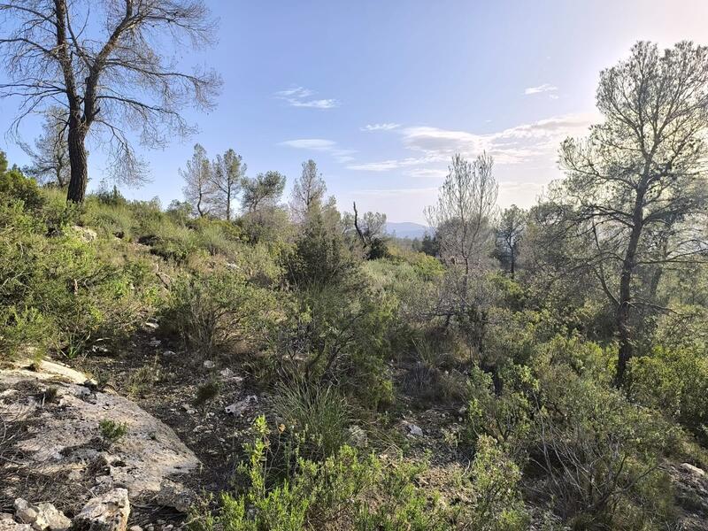 Casa de Campo en venta