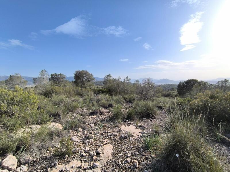 Casa de Campo en venta