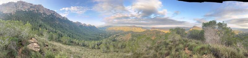 3 soveværelse Landsted til salg