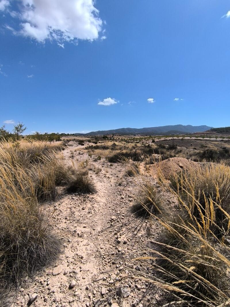 Landsted til salg i Jumilla, Murcia