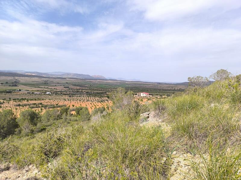 Casa de Campo en venta