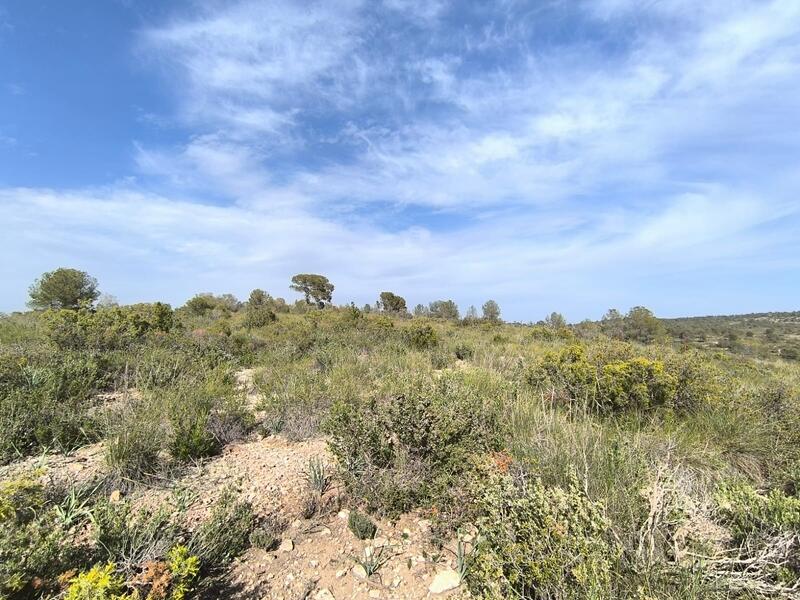 Casa de Campo en venta