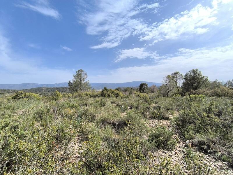 Casa de Campo en venta