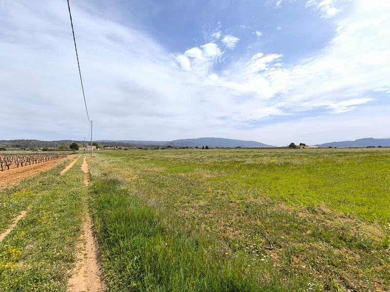 7 Cuarto Casa de Campo en venta