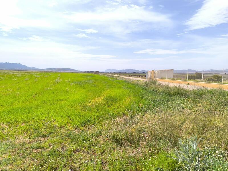 7 Cuarto Casa de Campo en venta