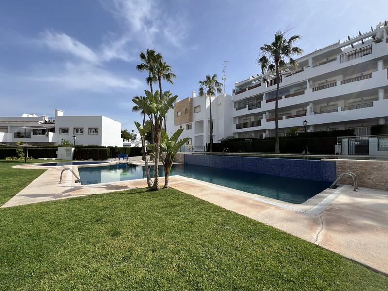 3 Cuarto Apartamento en venta