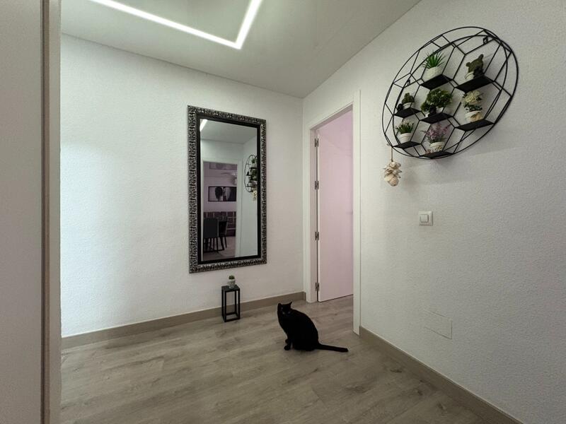4 slaapkamer Appartement Te koop