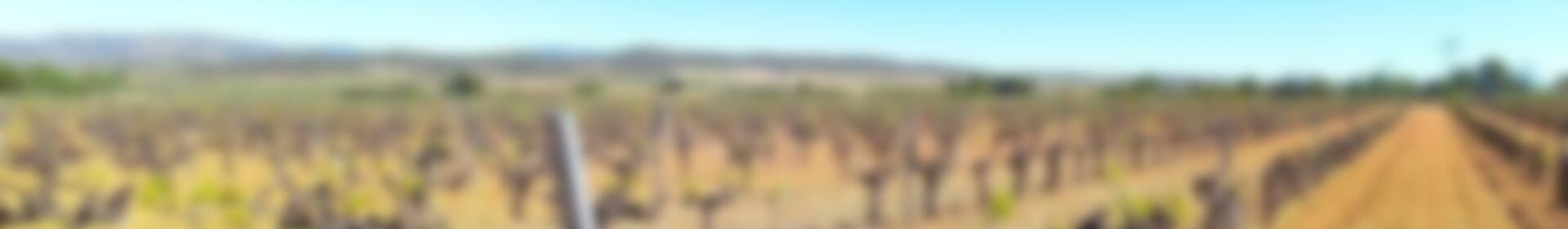 Casa de Campo en venta