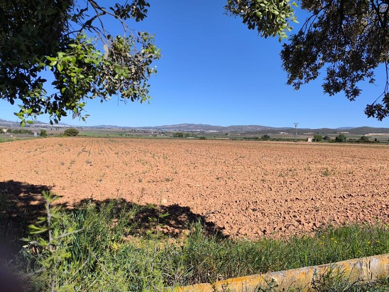 Casa de Campo en venta en Yecla, Murcia