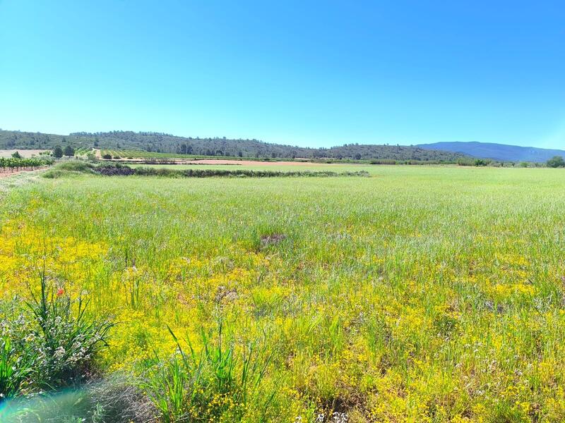 Casa de Campo en venta