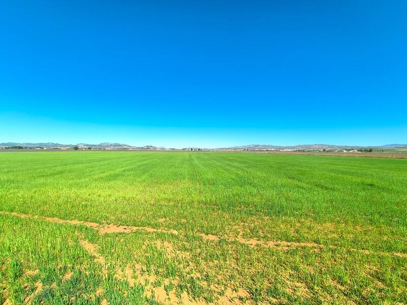 Herregård til salgs i Yecla, Murcia