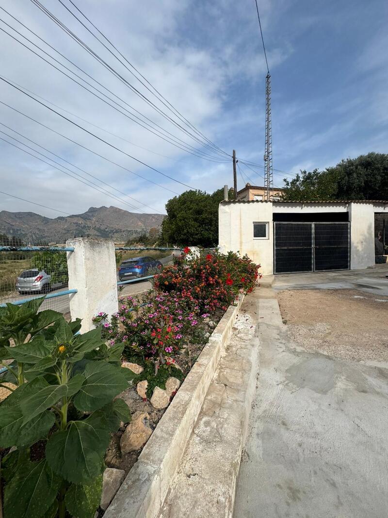 8 Cuarto Adosado en venta