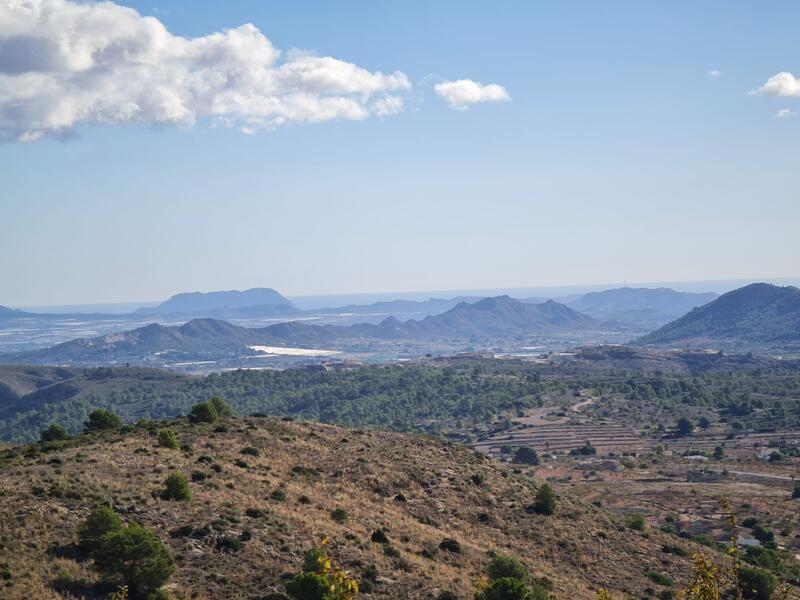 Landsted til salg i La Romana, Alicante