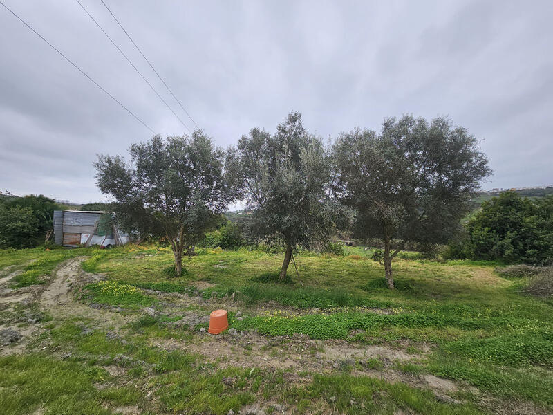 1 bedroom Villa for sale