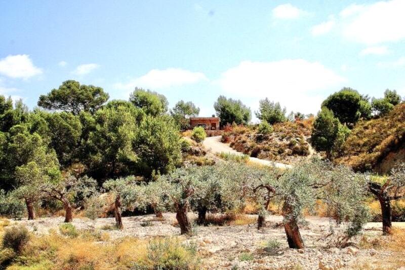 3 bedroom Villa for sale