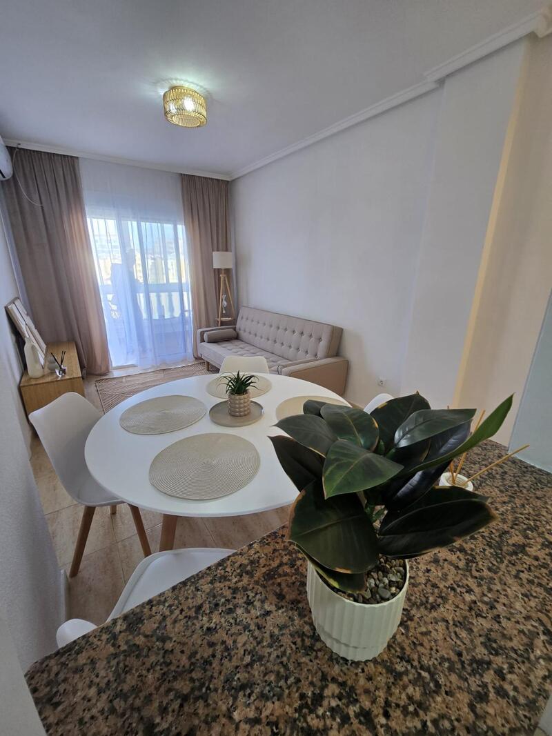 1 slaapkamer Appartement Te koop 1 slaapkamer Appartement Te koop