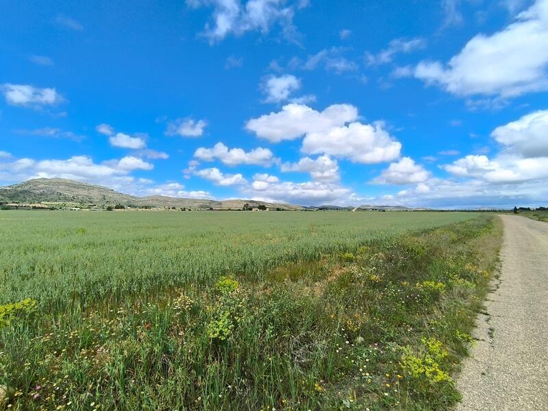 Casa de Campo en venta