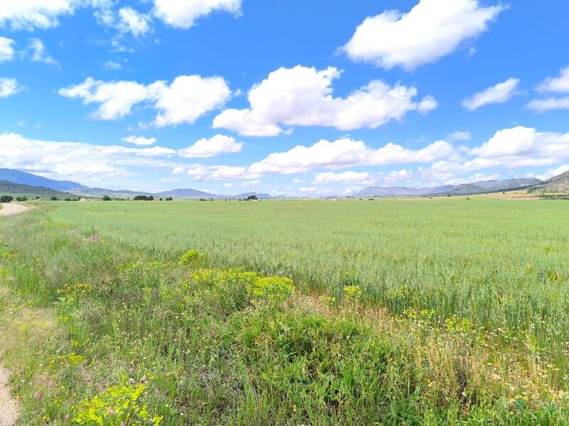 Casa de Campo en venta