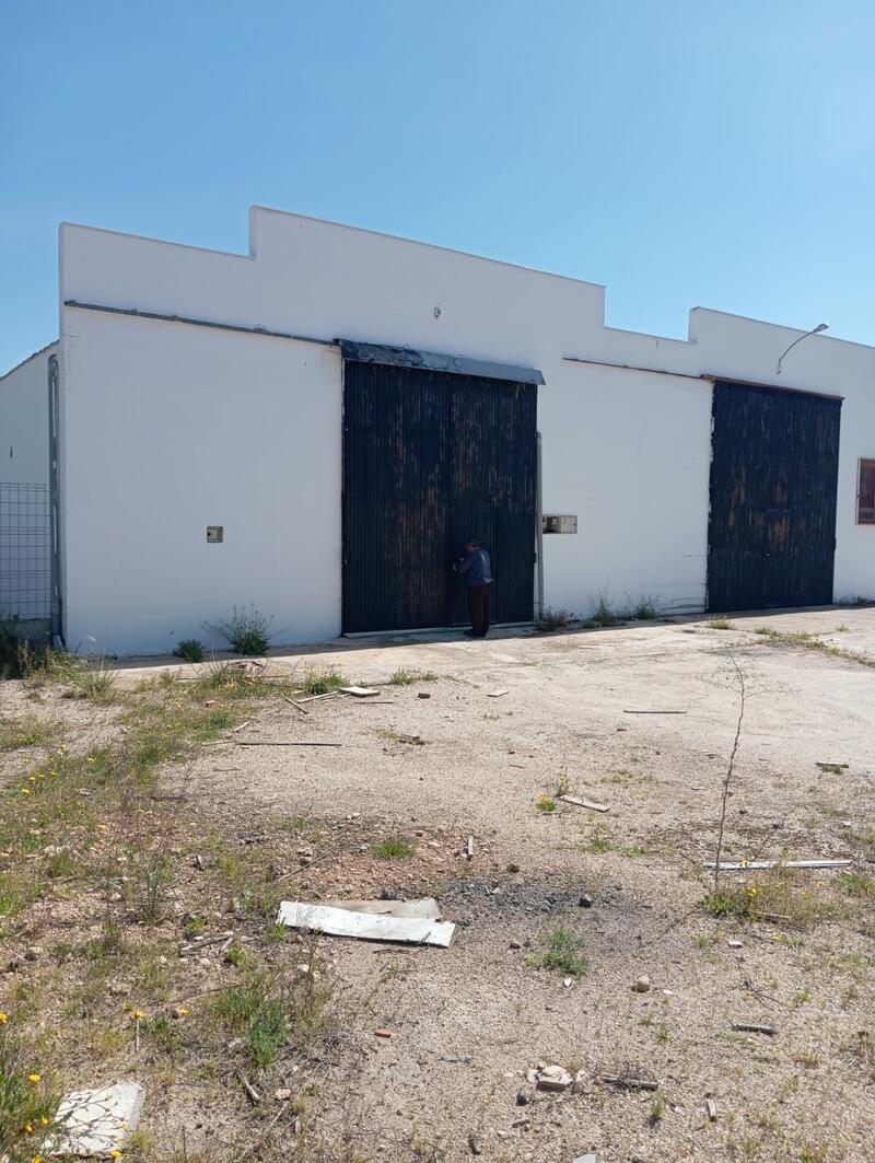 6 Cuarto Villa en venta