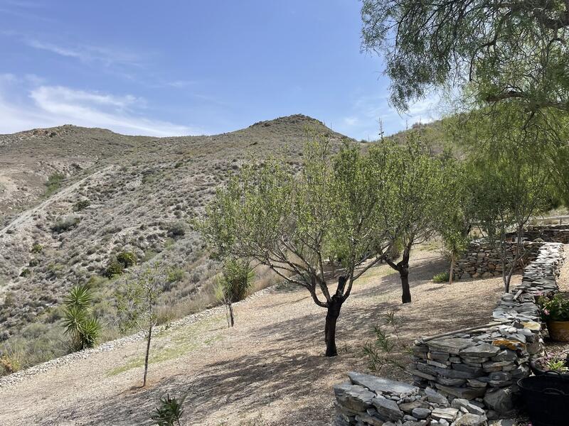 4 Cuarto Casa de Campo en venta