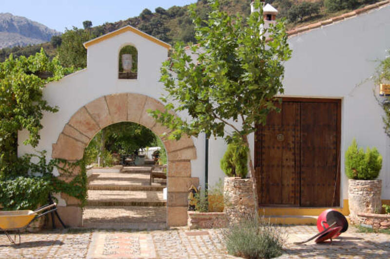 4 Cuarto Casa de Campo en venta