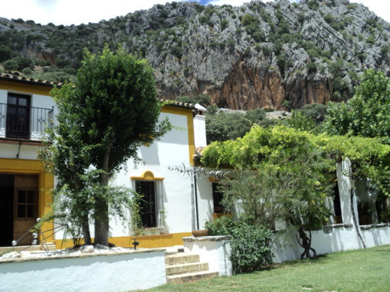 4 Cuarto Casa de Campo en venta