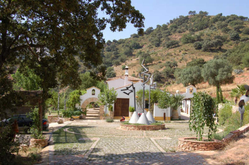 4 Cuarto Casa de Campo en venta