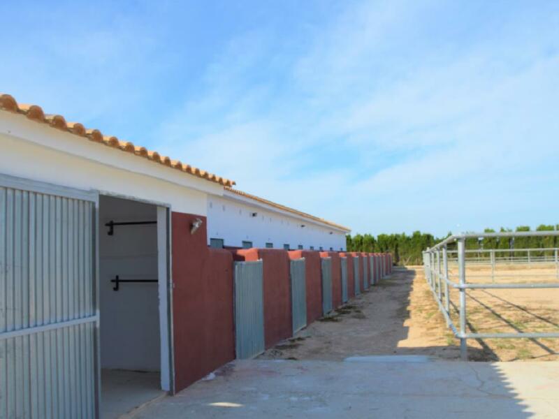 Casa de Campo en venta en San Miguel de Salinas, Alicante
