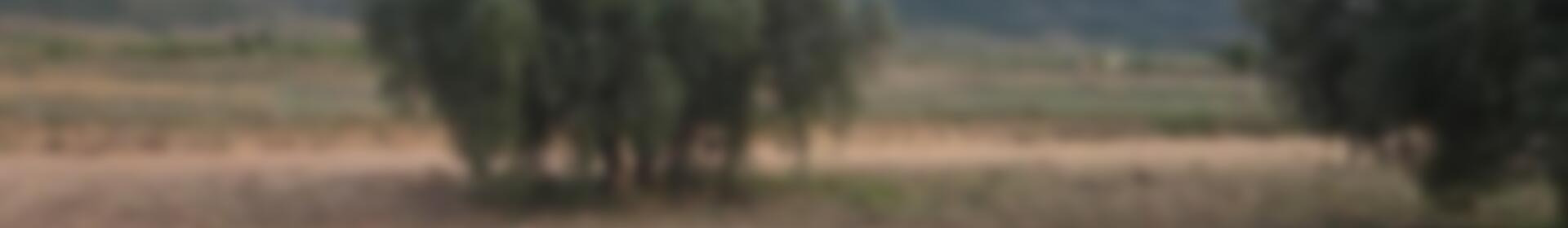 Casa de Campo en venta