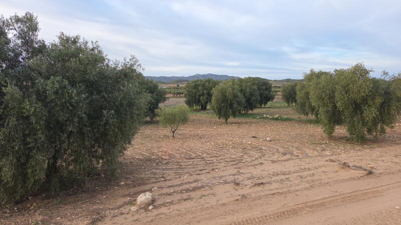 Casa de Campo en venta