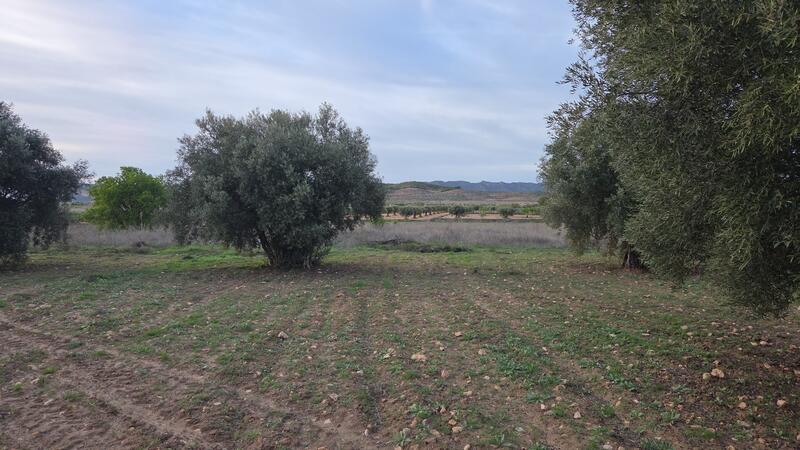 Casa de Campo en venta