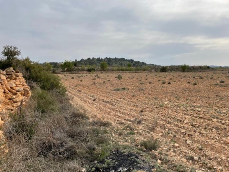 Casa de Campo en venta