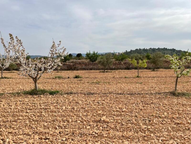 Casa de Campo en venta