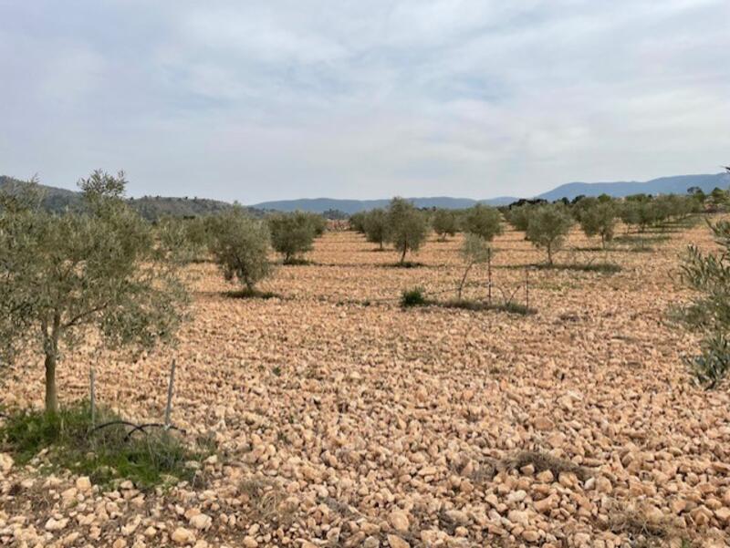 Casa de Campo en venta