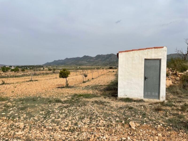 Casa de Campo en venta