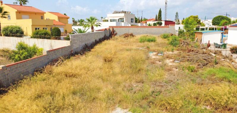 Auberge à vendre dans Torrevieja, Alicante