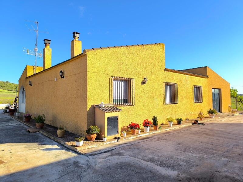 4 chambre Auberge à vendre dans Yecla, Murcia