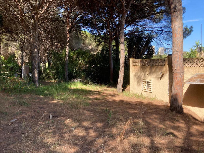 Lantställe till salu i Marbesa, Málaga