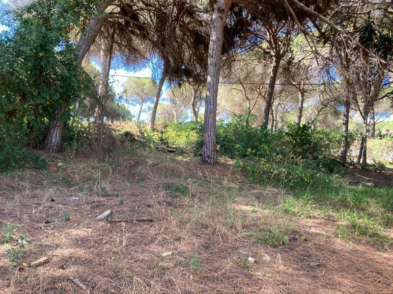 Lantställe till salu i Marbesa, Málaga