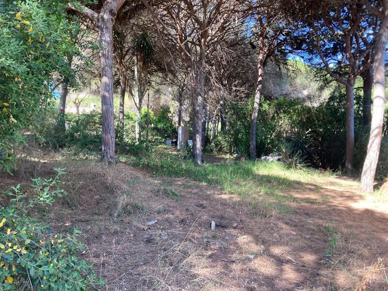 Lantställe till salu i Marbesa, Málaga