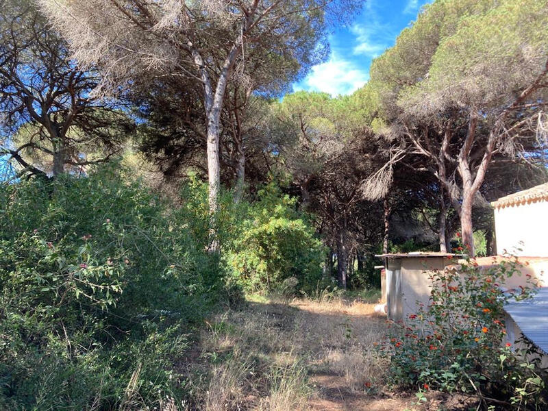 Casa de Campo en venta Casa de Campo en venta