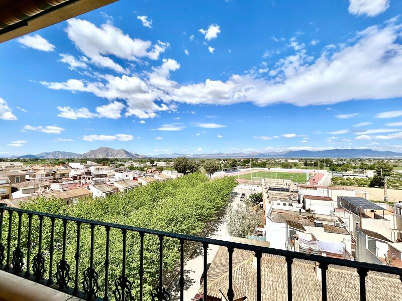 4 Schlafzimmer Appartement zu verkaufen in Almoradí, Alicante