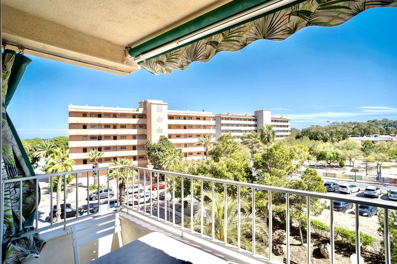 1 soveværelse Lejlighed til salg i Guardamar del Segura, Alicante